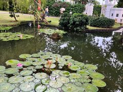-新加坡总统府