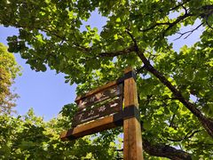 -吉林市朱雀山国家森林公园