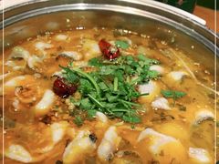 -龙梅肥肠鱼(明瓦廊店)