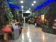 -上海大自然野生昆虫馆(东方明珠·爬宠昆虫探索中心)