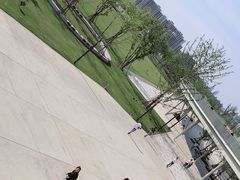 -上海山野camping·户外天幕烧烤·团建拓展营地