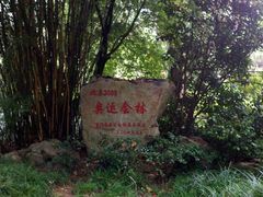 -邓小平故里