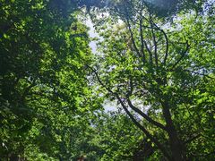 -终南山南五台景区