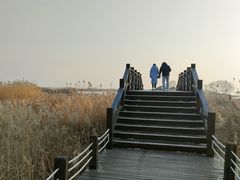 -苏州太湖湖滨国家湿地公园