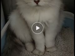 -美迦爱-牙专科·兔科·骨科诊疗中心(北苑店)