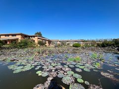 -上海海湾国家森林公园