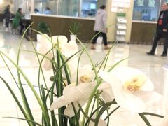 -重庆民众体检中心(奥体分院)