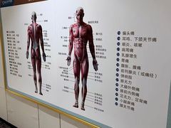 -通透堂中医·精准推拿(旗舰店)