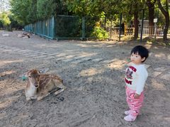 -北京麋鹿生态实验中心