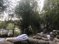 -三江森林温泉度假区