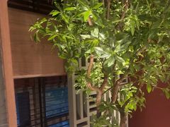 -满堂匠心川宴·私房菜(天府三街店)