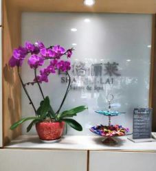 前台-CARR SALON
