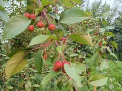 -元大都城垣遗址公园