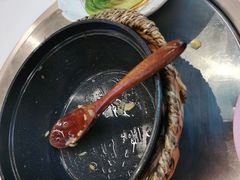 -好彩猪肚鸡(正弘城店)