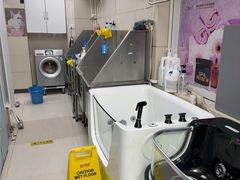 -北京观赏动物医院·24小时大型综合·猫专科·异宠专科