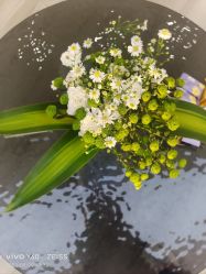 -HEYAN荷妍专业脱毛连锁机构