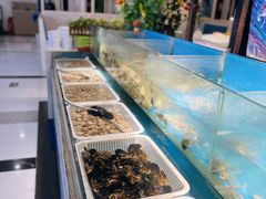 -深海800米海鲜自助(万达广场店)
