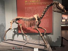 -齐齐哈尔市博物馆