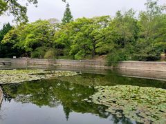 -八大关景区