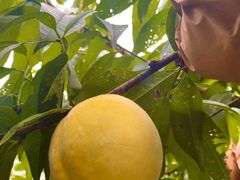 -郴州特产舜华临武鸭(郴州西站店)