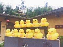 -崇阳三特浪口温泉