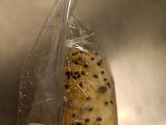 -怪物困了·咖啡(金地龙城店)