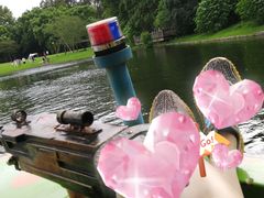 -上海共青森林公园