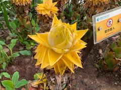 -华南国家植物园-售票处