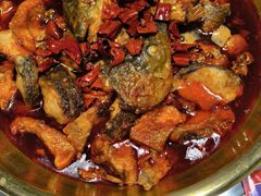 炝锅草鱼-涿派·炝锅鱼(涿州店)