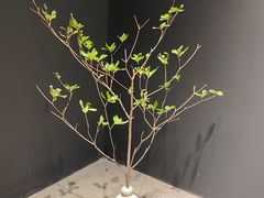 -长春银盐咖啡馆