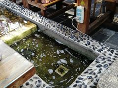 -丽江庭院之爱在路上(西单店)