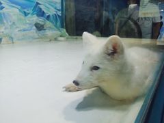 -哈尔滨极地公园