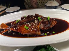 -绿茶餐厅(石家庄万象城店)