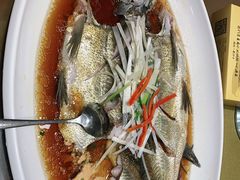 -丹江渔村(望京店)