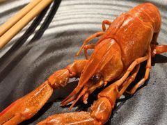 -红盔甲·小龙虾(天钥桥店)