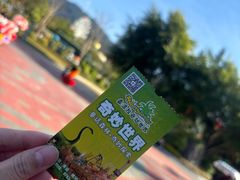 -森波拉奇妙世界