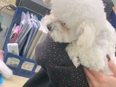 -佳雯宠物医院(信河分店)