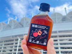 -海心沙亚运公园