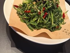 -三强鸽子(中原路店)