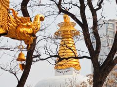 -护国法轮寺