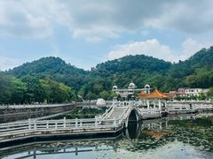 -红山村