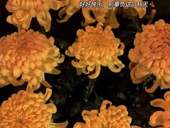 -清明上河园