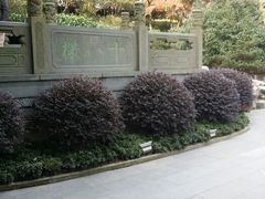 android_upload_pic-十八棵（老龙井）御茶园(老龙井店)