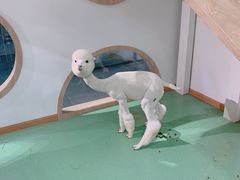 -藦茜花园宠物主题亲子互动体验馆(国顺东路店)
