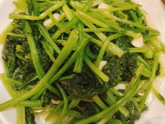 -乡土特色.冷锅鱼.牦牛肉汤锅