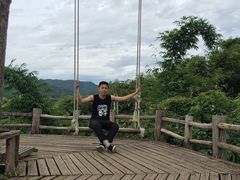 -大树秋千