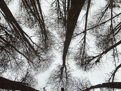 -青山湖景区