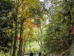 -大慈岩风景区
