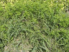 -南通博物苑-崇川人民公园