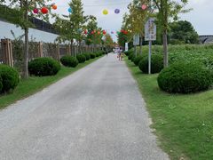-菊园百果园